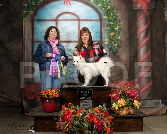 _ST_7118-NrmnNov2014-HR3