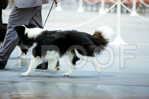 _JN_9394-HstnJul2014-HR3
