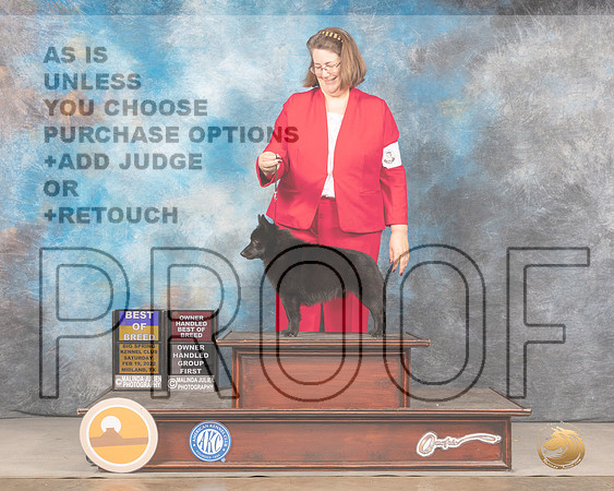 Schipperke #7 Thurs  OHG1 Judge Peggy LloydMMJ_4172_Mdlnd2022_HR3