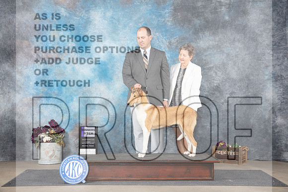 Collie Smooth #22 Su WB Judge Gloria Kerr__JP_7780_Belton_2024_HR3