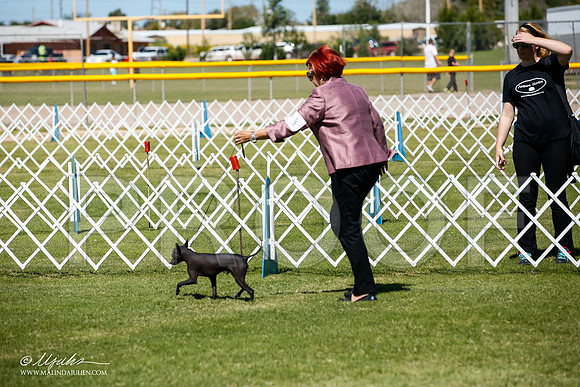 _JJ_7986-AlamogordoOct2014-HR3