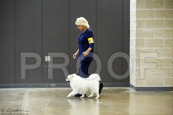 _J3L9468-BeltSep2014-HR