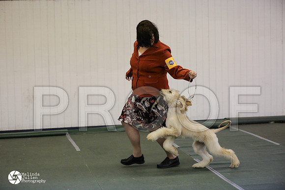 pup-8916-DntnMar14-HR3