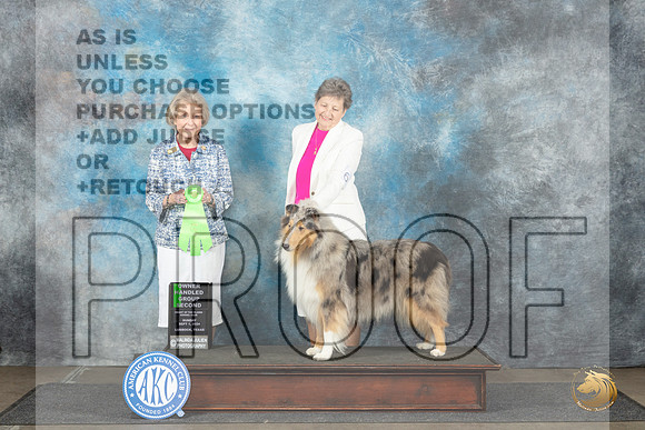 Collie Rough #6 Sun OHG2 Judge Ann Bolus__JP_4126_Lubbock_2024_HR3