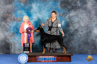 Doberman #46 WED BISS Judge Nancy Liebes