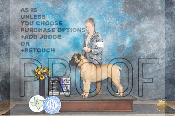 Bullmastiff #6 Fri sWBOHBOB Judge Rick Gschwender__JP_9151_Abilene_2024_HR3
