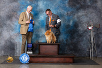 Pomeranian #19 Thurs G1 Judge Jon Cole
