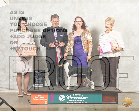 Rat Terrier #105 Thur Top105th__MJ_7529_Premier_2022_HR3