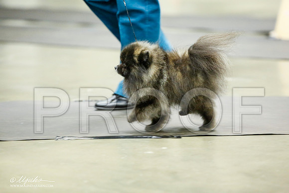 _JJ_5443-BeltonJan2015IABCA-HR3