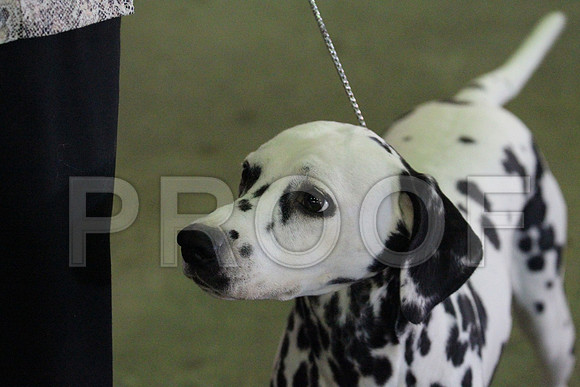 MJS_0300