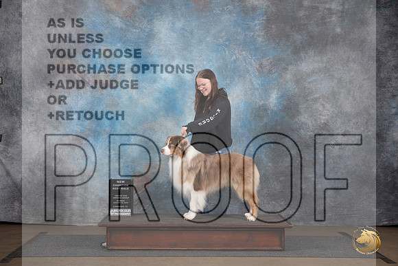 Australian Shepherd @255 Sun NCh Judge Chandra Martin__JP_3045_LongviewTX_2024_HR3