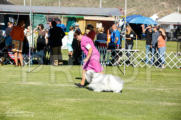 _JN_7709-AlamogordoOct2014-HR3