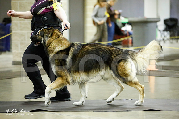 _JJ_6614-BeltonJan2015IABCA-HR3