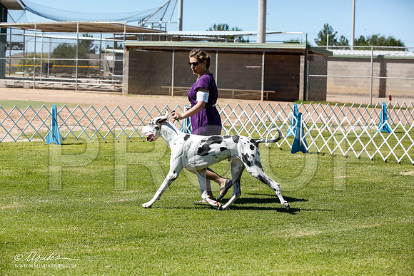 _JN_6365-AlamogordoOct2014-HR3