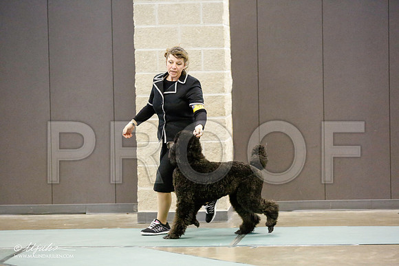 _RH_9653-BeltonJan2015-HR3