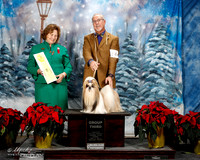 Shih Tzu #14 Fri G3 Dan Haley Clay Williams Ann McDearmon Judge Donnelle Richards