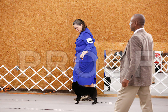_RH_6267-CarlrolltonSept2014-HR3