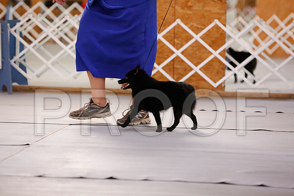 _RH_6707-CarlrolltonSept2014-HR3