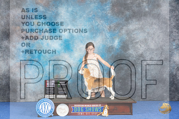 Beagle 15 #14 WED BV BOSSw Judge Douglas Johnson__JP_7013_Houston_2024_HR3