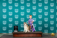Alaskan Klee Kai #161 Wed BJr Judge Brenda Landers