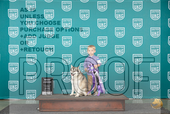 Alaskan Klee Kai #161 Wed BJr Judge Brenda Landers__JP_0403_Premier_2024_HR3