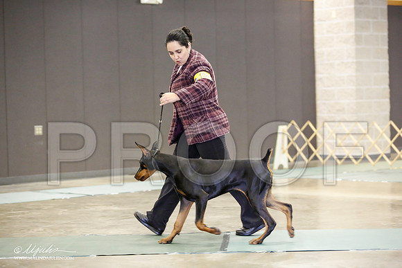 _JN_1877-BeltonJan2015-HR3
