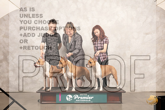 American Pit Bull Terrier Family__MJ_8422_Premier_2022_HR3