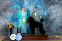 Poodle Std #23 Sun OHG2 Judge Sharol Candace Way