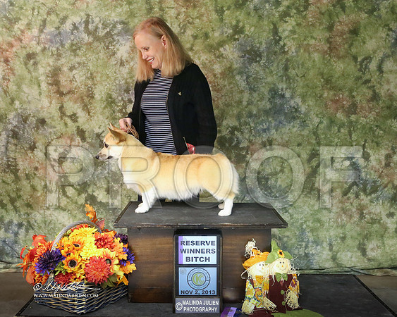 CorgPW-7474-SANov13-HR