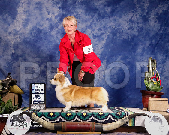 CorgPW-1725-GRJan14-HR
