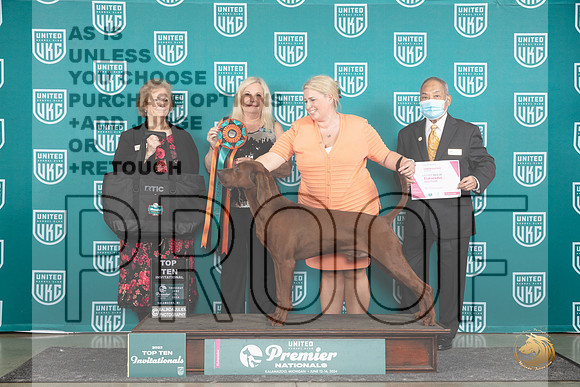 Redbone Coonhound #1234 Thur Top10 6th__JP_1383_Premier_2024_HR3