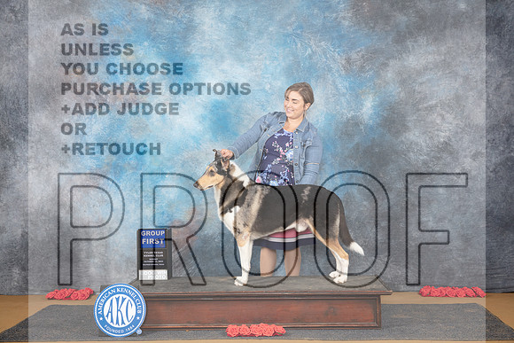 Collie Smooth #5 Sun G1 Judge Beth Dowey__JP_0935_Sulphur Springs_2024_HR3