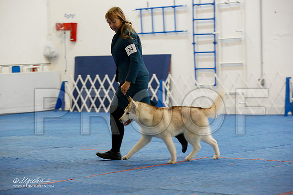 _M3_0592-AddisonHuskyMar2015-HR3