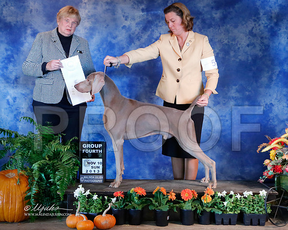 Weim-6344-HstnNov13-HR