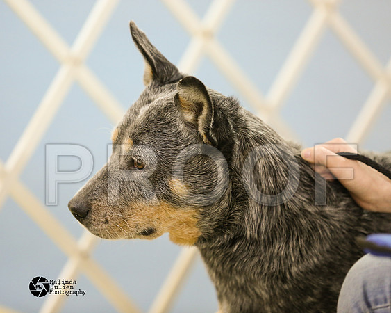 ACD-9276-HtoJan2014-HR3