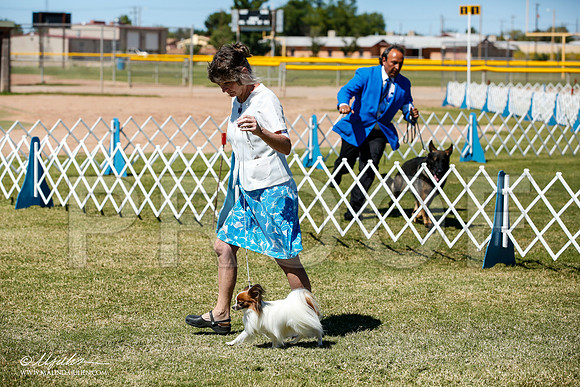 _JJ_0642-AlamogordoOct2014-HR3