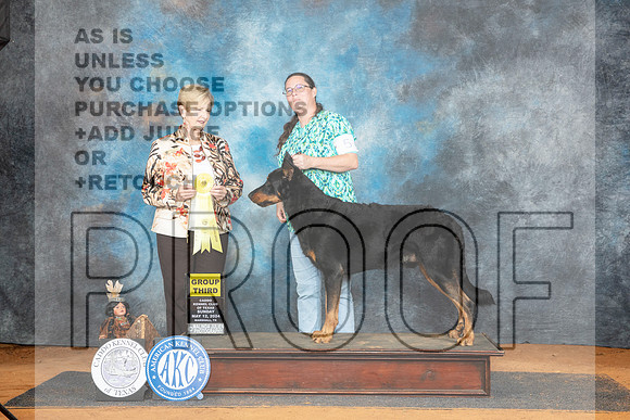 Beauceron #5 Sun G3 Judge Karen Hynek__JP_8689_MARSHALL_2024_HR3