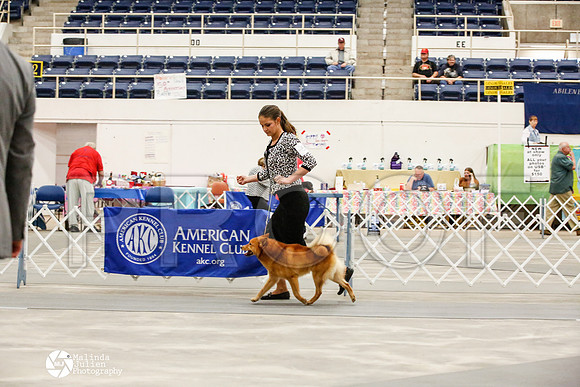 _JJ_0361-AblnMay2014-web
