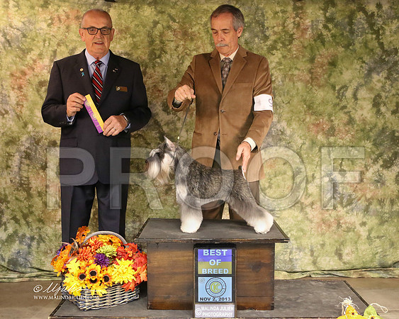 MinSch-6819-SANov13-HR