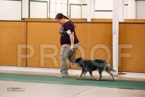 ACD-9978-NormNov13-HR