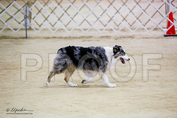 _JN_7463-ASCACollegeStationNov2014-HR3