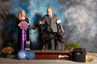 Doberman Pinscher #29 Fri BISS Judge Cynthia Woodward