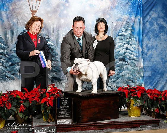 _ST_9131-2-DallasDec2014-HR3