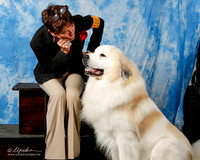 Great Pyrenees Custom Sun Shae Beck
