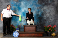 Papillion #16 Fri OHG2 Judge Christie Martinez