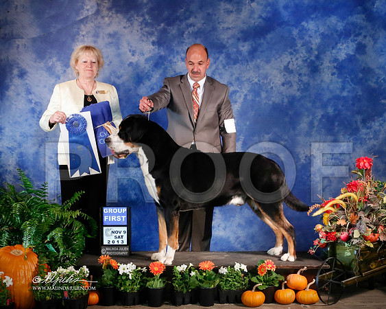 Swiss-3893-HstnNov13-HR