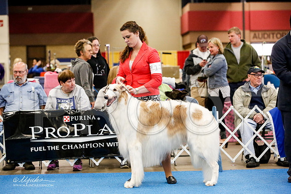 _M3_2223-AddisonHuskyMar2015-HR3