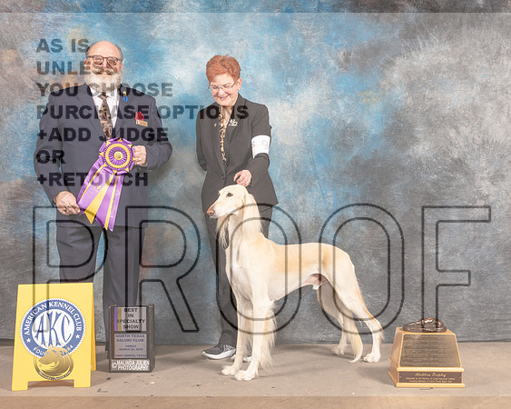 Saluki #9 Fri BISS Judge Judge Bryan Martin-MMJ_7010-FW2022-HR3