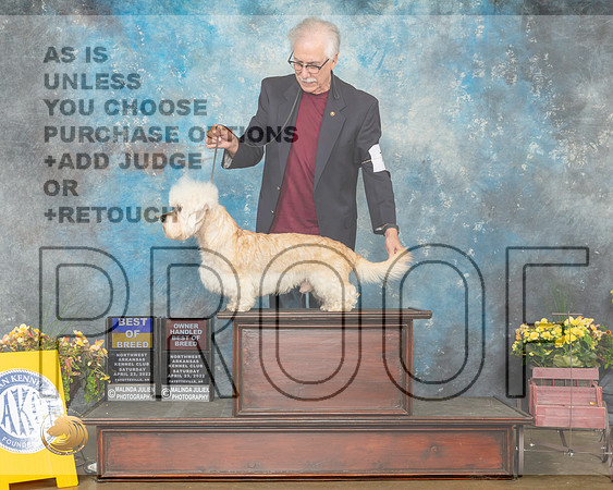 Dandie Dinmont Terrier #17 Sat BOBOHBOB Judge Grace Fritz-MMJ_0704-NWARK2022-HR3