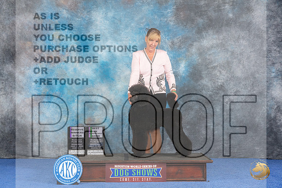 Poodle Standard #8 WED RWB Judge James Moses BISS Judge Linda Clark__JP_7350_Houston_2024_HR3